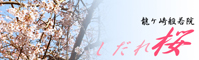 @ʎ@@Ps
